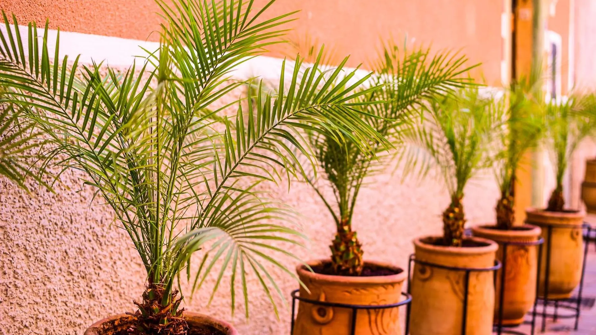 Riad Zayn & Spa Marrakesh